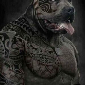 Meet your Posher, Frankie